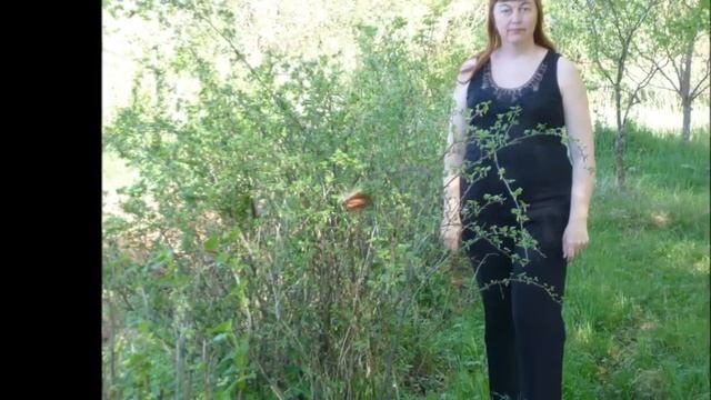 Моя хорошая Автор Максим Евдокимов музыка и поёт Виктор Могилатов смотреть онлайн