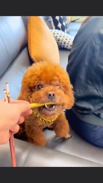 Взятка смотреть онлайн