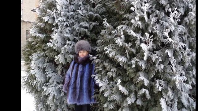 Хрустальный замок - Автор В Звягинцев музыка В Синицин поёт Виктор Королёв смотреть онлайн