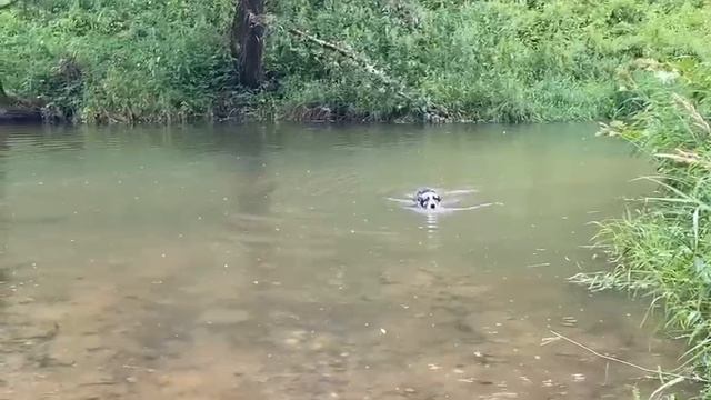 22.07.2025. Дочка и Добрик