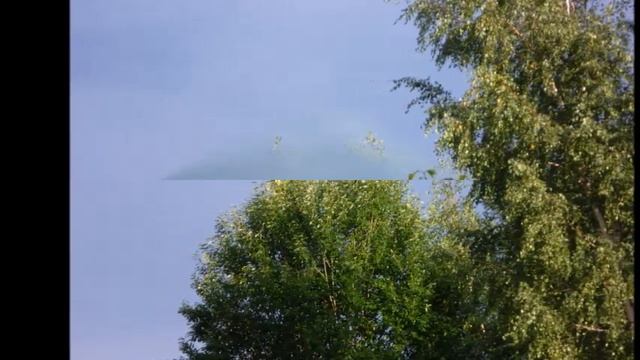 Приезжайте к нам в деревню - Автор Лена Василёк музыка и поют Лена Василек Дмитрий Прянов смотреть онлайн