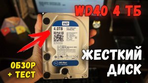Жесткий диск WD40 на 4 Тб | ОБЗОР и ТЕСТ скорости | Western Digital Blue 4 TB WD40EZRZ
