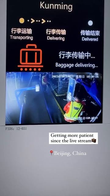 В аэропорту Пекина. смотреть онлайн