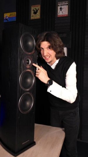 Российская разработка🇷🇺 Напольная акустика от Premiera DS 631🚀