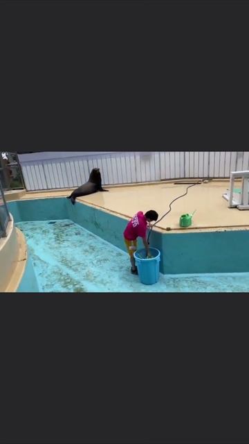 Пощник смотреть онлайн