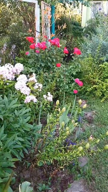 Райский сад))) смотреть онлайн