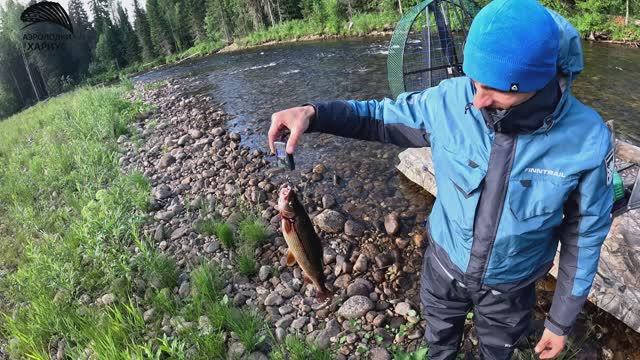 Ловим крупных хариусов и жестим на аэролодке Хариуст 440 смотреть онлайн