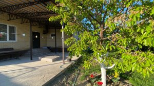 Готовый дом на юге