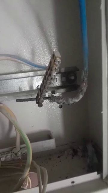 Мое любимое видео смотреть онлайн