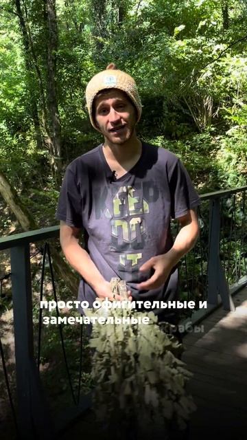 Панорамная баня в центре Красной поляны Дзен смотреть онлайн