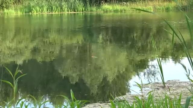 Рыбалка на поплавок смотреть онлайн