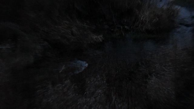 Река Алай у исчезнувшей деревни Каменка, Балтайский район.