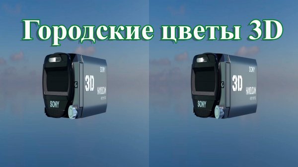 Видео 3Д