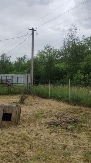 1000049489.mp4дом бруссовой