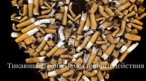 Курение сигарет и вред здоровью человека.