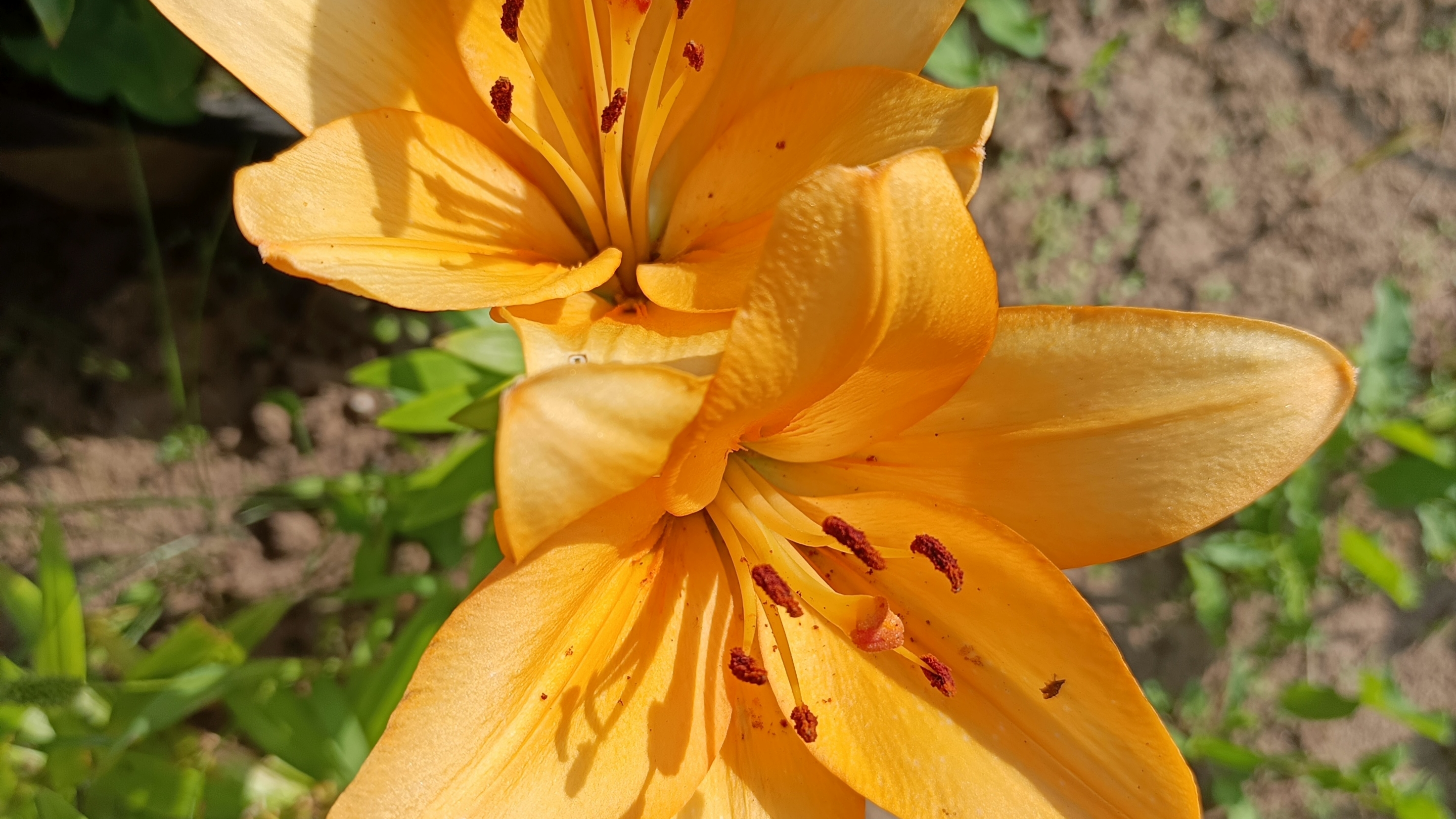 23-07-2025💥Влог💥среда смотреть онлайн