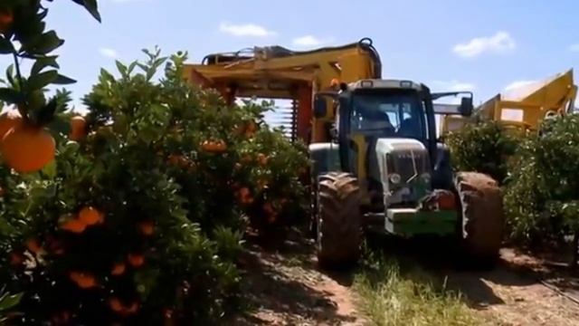 10 САМЫХ КРУТЫХ МАШИН для сбора урожая ягод, орехов и фруктов смотреть онлайн