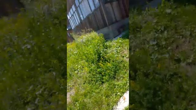 ....... смотреть онлайн