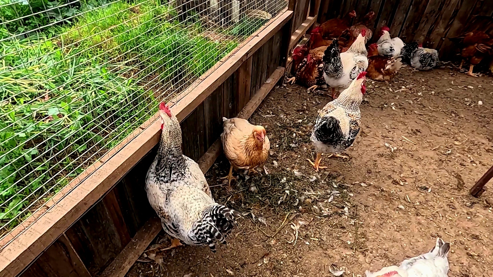 Только успевай поворачиваться... смотреть онлайн