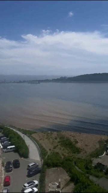 Море в опасности: во Владивостоке обнаружены неочищенные стоки смотреть онлайн