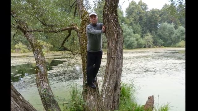 Зацелую - Автор Артур Степанян музыка и поёт Артур Иванов смотреть онлайн