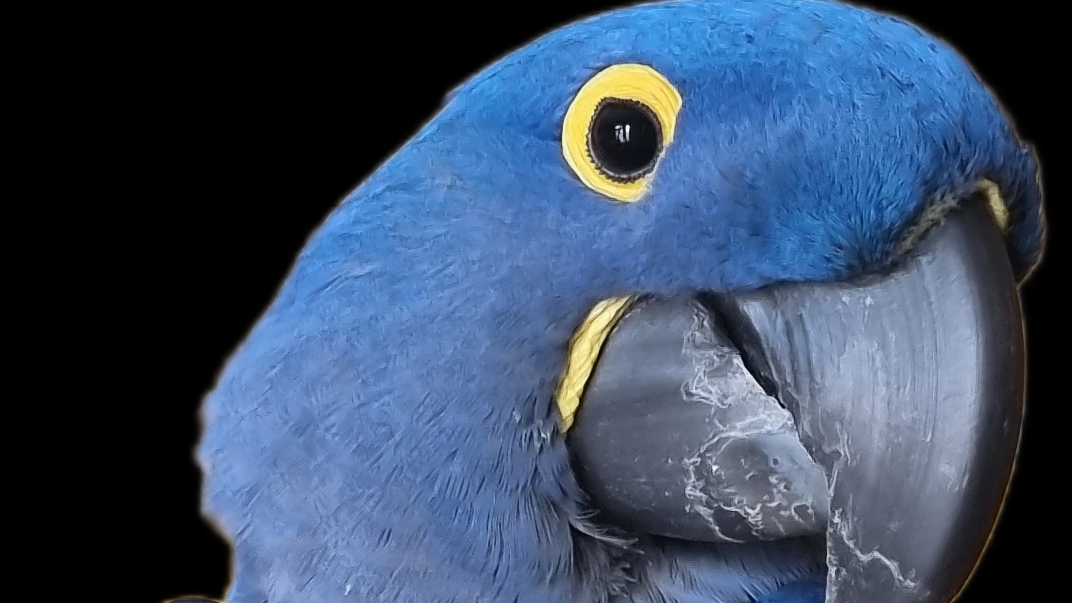 Поцелуй меня💋💋💋