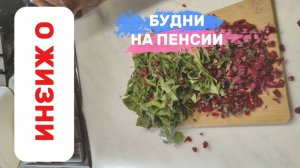 ЧЕМ ЗАНИМАЮТСЯ И ЧТО ЕДЯТ ПЕНСИОНЕРЫ ЛЕТОМ.