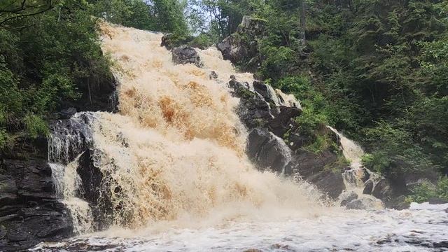 Навигатор не туда. Белые мосты. Репортаж из пивной