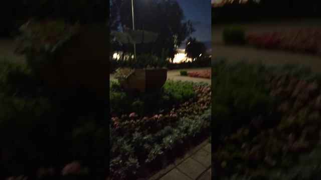 Прогулка смотреть онлайн