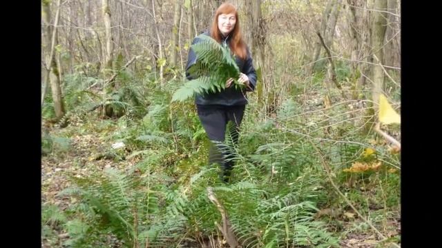 Позови - Автор Эдгар Геворкян музыка и поёт Edgar смотреть онлайн