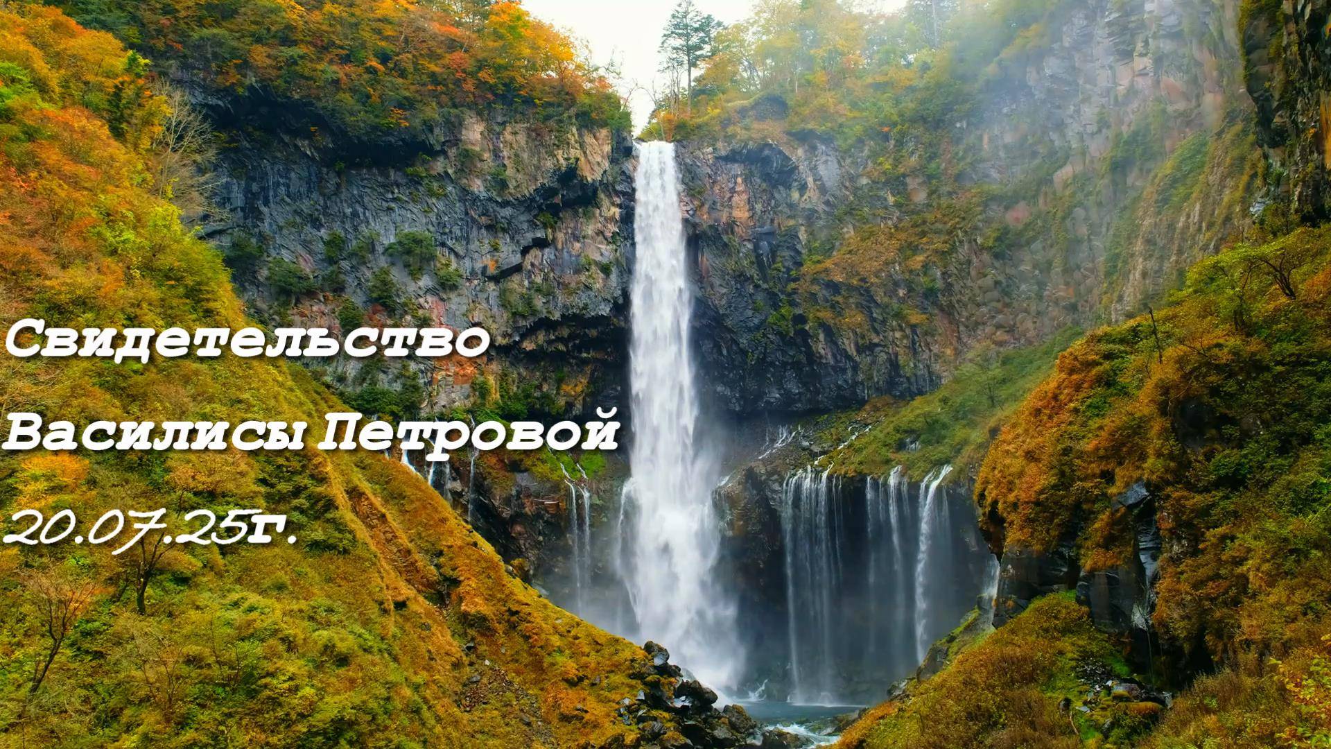 СВИДЕТЕЛЬСТВА