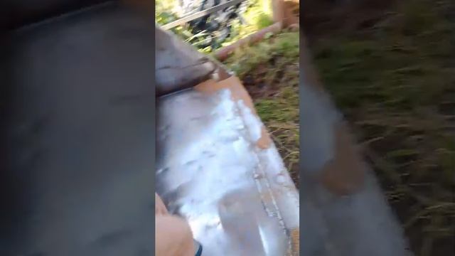 зая смотреть онлайн