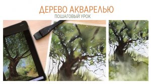 Рисование дерева акварелью.