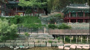 Her 86m2 #177 Я стал послом туризма в Корее 🤓 Сеул, Чеджудо и Хапчхон Мое путешествие по Корее