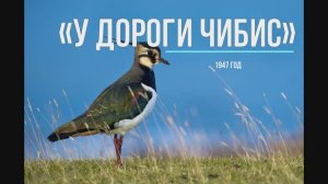 Минус к песне "У дороги чибис" видео сопровождение