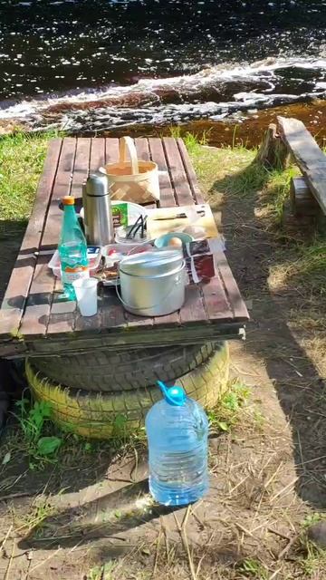 Ездили в лес, отдыхали, собирали лисички и землянику