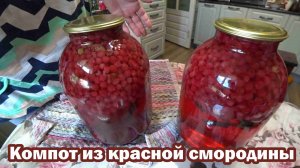 Компот из красной смородины заиграл ароматами