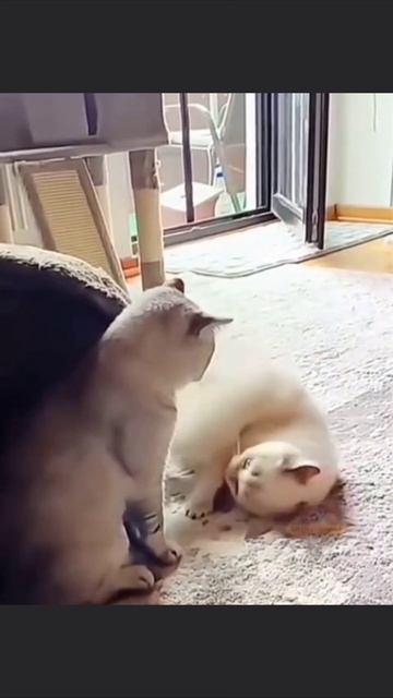 Разборки смотреть онлайн