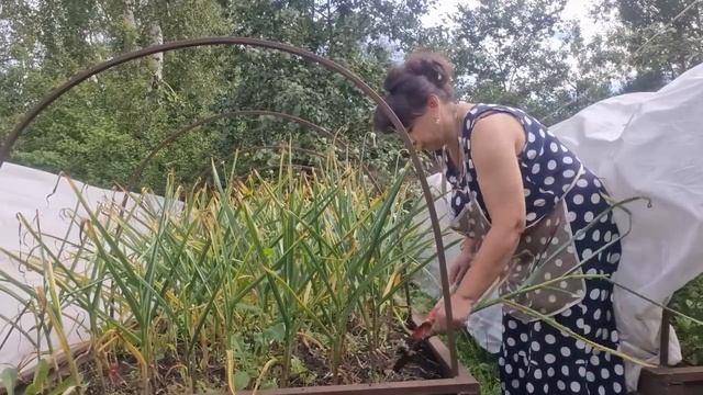 Достаю свои запасы. Посуда для новой кухни. Как долго я об этом мечтала. Выбираю чеснок. смотреть онлайн