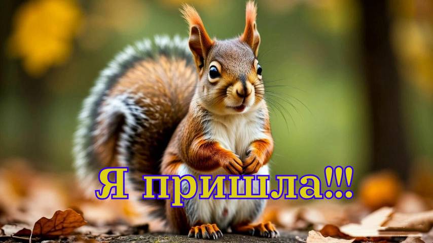 Нижний Новгород. Парк 