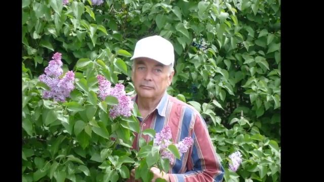 Наша любовь - Авторы музыка и поют Евгений Сурский Елена Комарова смотреть онлайн