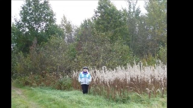 Я живу и горю лишь тобой - Автор Владимир Чернов музыка и поёт группа Ори! Зона! смотреть онлайн