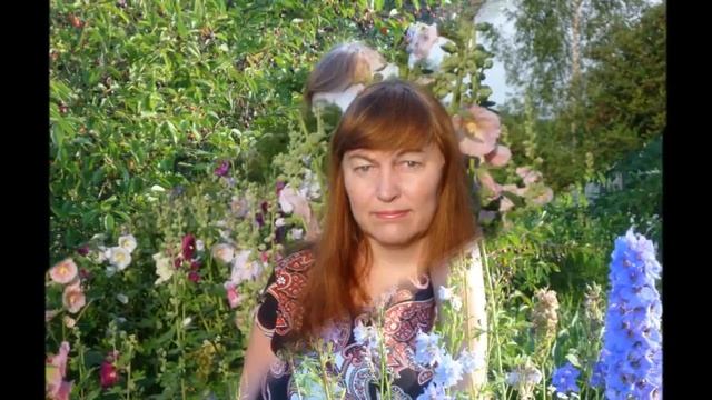 Лето носит имя Света - Автор Олег Климов музыка и поёт Виктор Калина смотреть онлайн