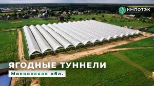 Ягодные туннели