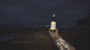 STALKER 2 #43 Волшебная вода