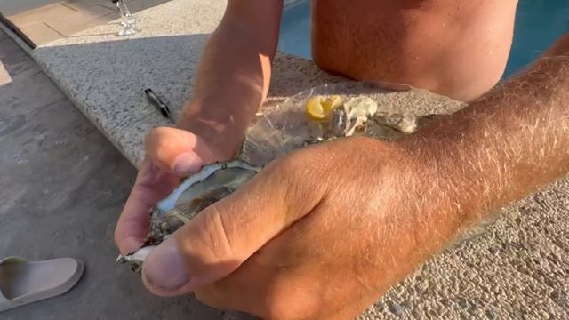 Наш средиземноморский ужин смотреть онлайн