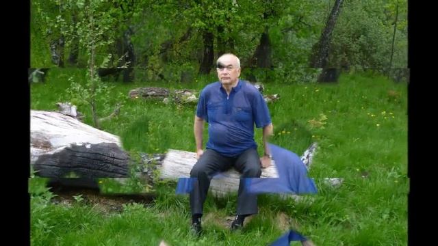 Случайная ночь Автор Олег Крашенин музыка и поёт Владимир Ждамиров смотреть онлайн