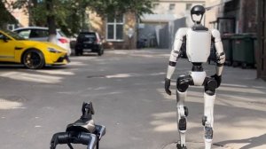 Наши роботы