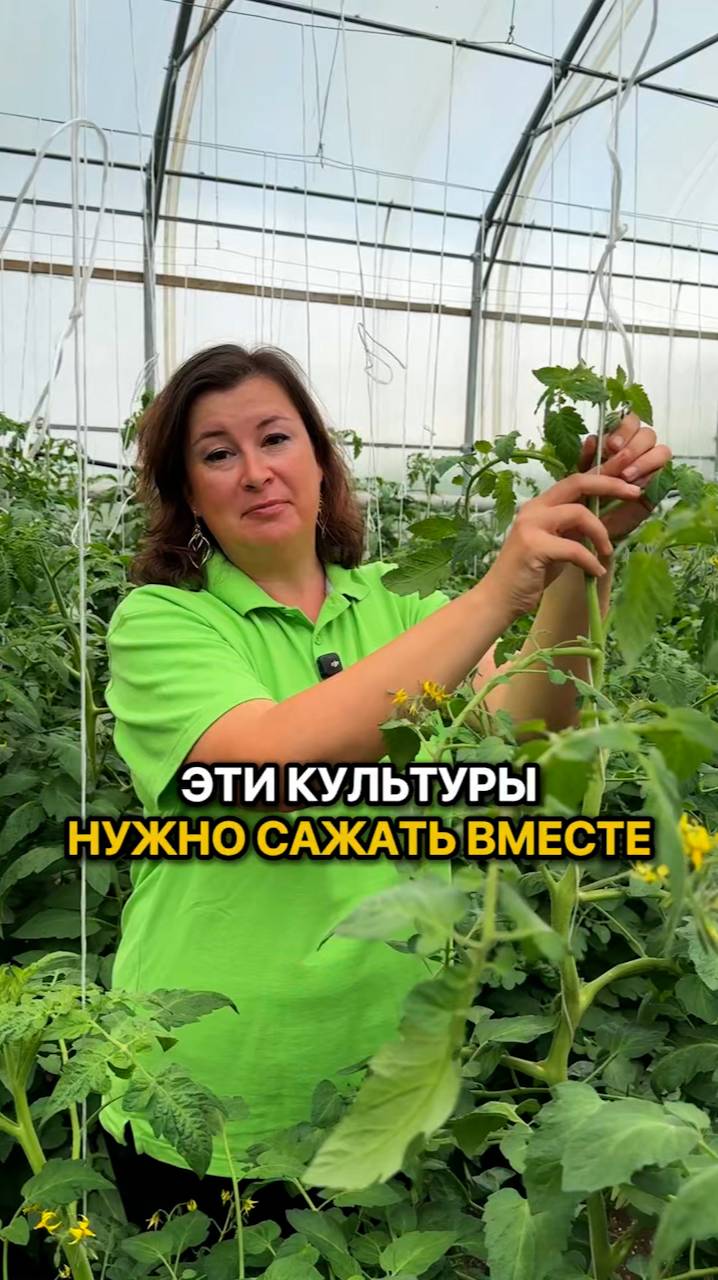 Эти культуры нужно сажать ВМЕСТЕ!