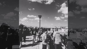 Золотое перо беркута